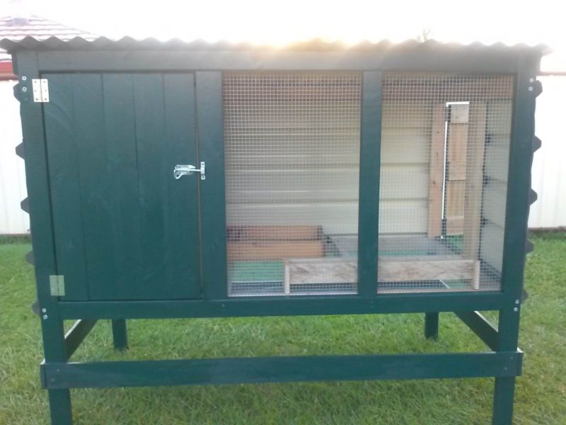 An Introduction to Chicken Coop Building